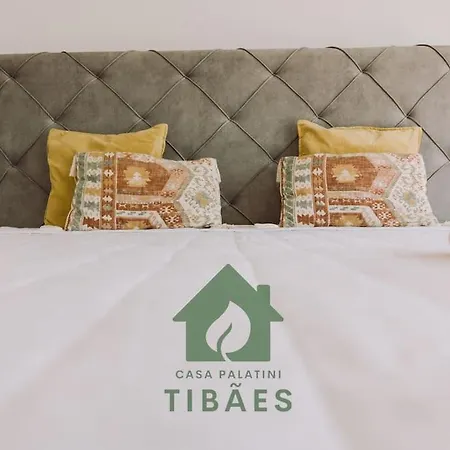 Casa Palatini Tibaes By Tonsdeverde - Piscina Holiday home Braga
