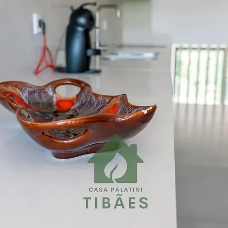 Holiday home Casa Palatini Tibaes By Tonsdeverde - Piscina Braga
