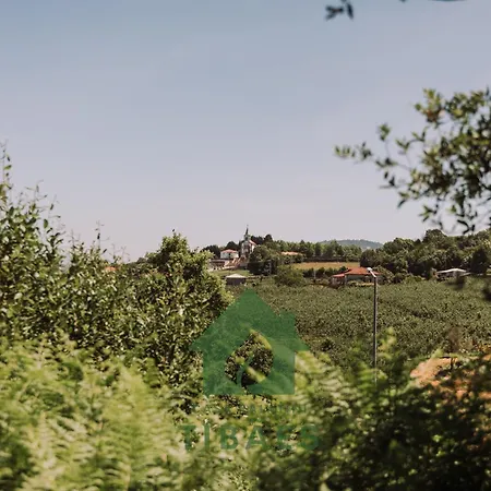 Casa Palatini Tibaes By Tonsdeverde - Piscina Holiday home *